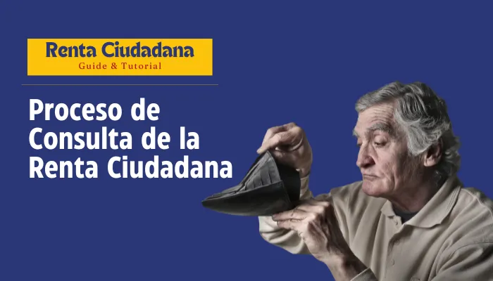 Proceso de Consulta de la Renta Ciudadana